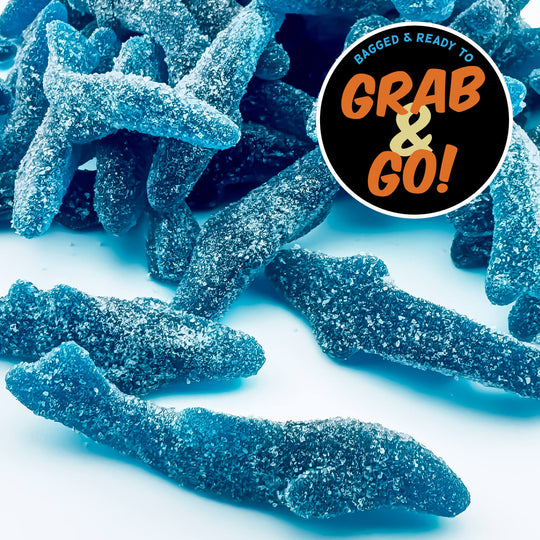 Blue Raspberry Sour Gummi Sharks: Grab & Go – Provincetown Fudge Factory
